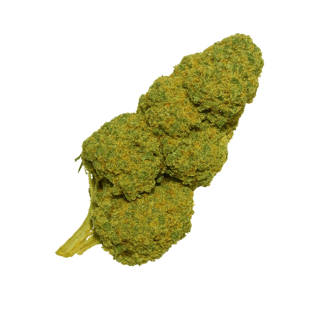 White Widow 🌊