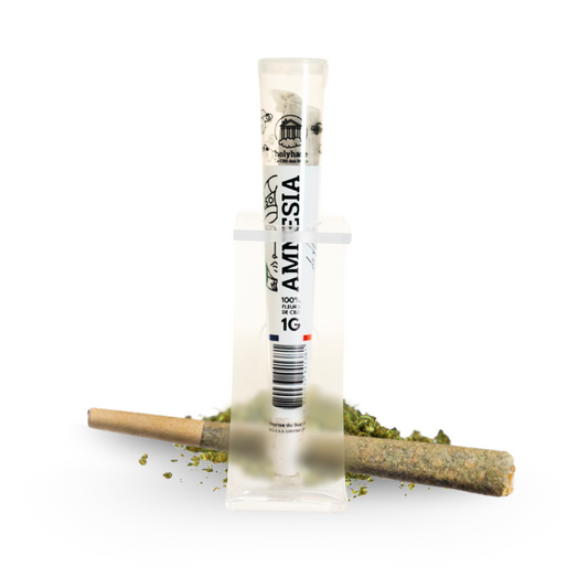 🎁 Préroulés - Amnésia 🌱 (OFFERT)