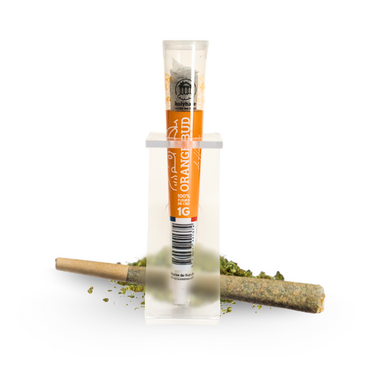 🎁 Préroulés - Orange Bud 🍊 (100% off)