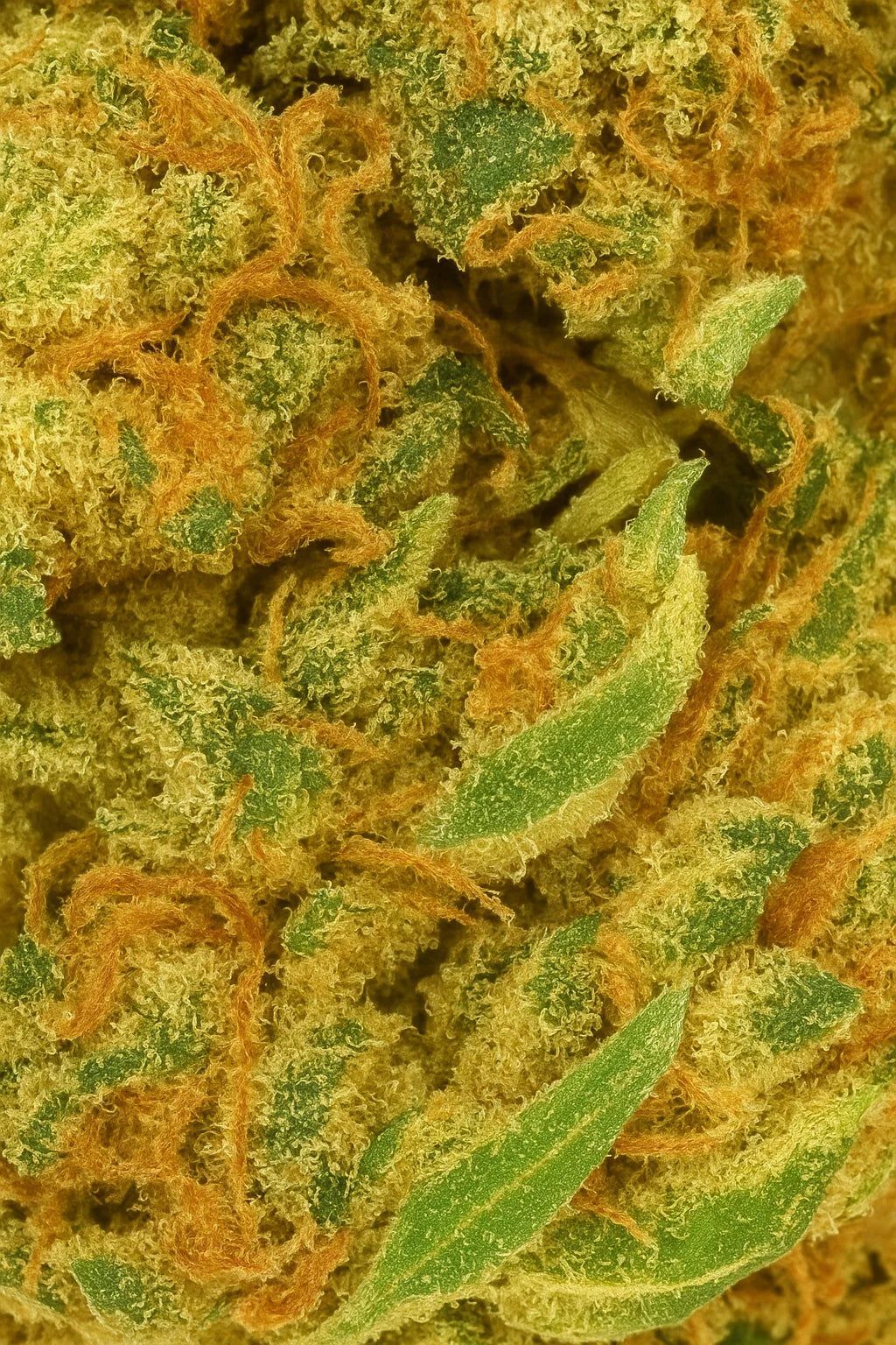 AK-47 💥