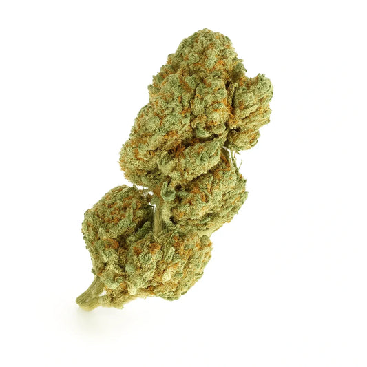 🎁 Critical Kush 🌿 (OFFERT)