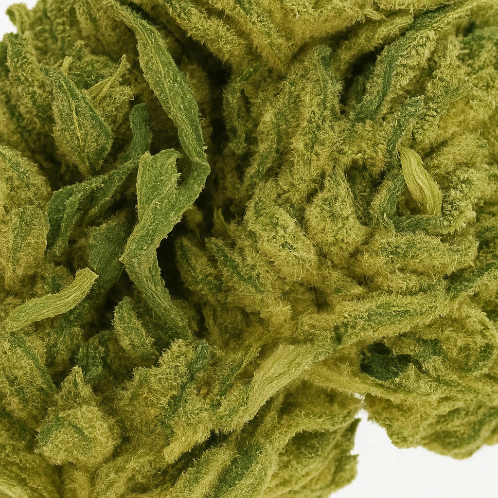 Mango Kush 🥭