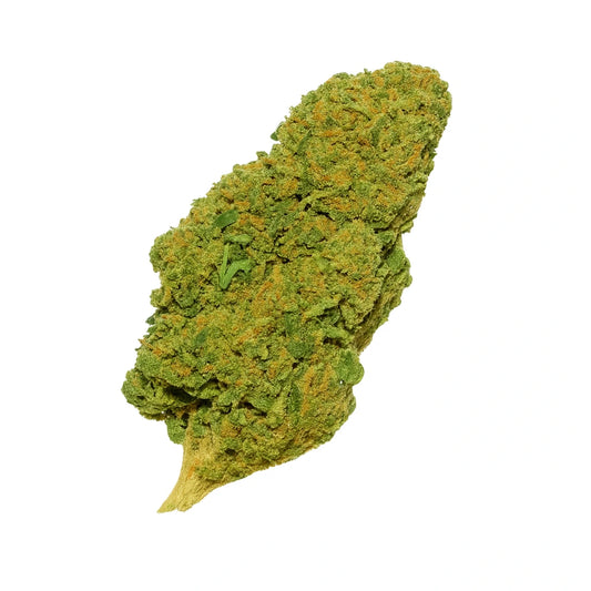 Orange Bud 🍊