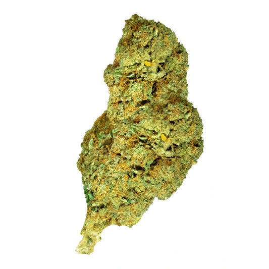 Alien Skunk 🛸