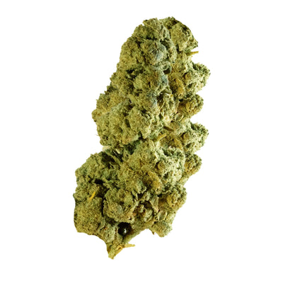 Jack Herer 🌞