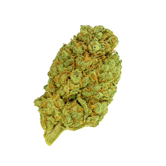 🎁 Cali Dream 💭 (OFFERT)