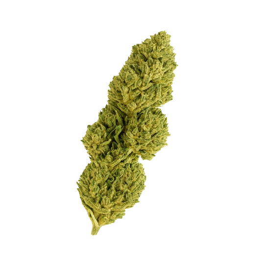 🎁 Mango Kush 🥭 (OFFERT)