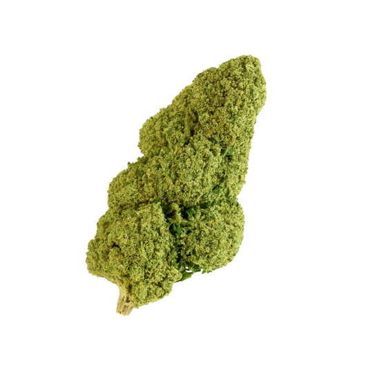 OG Kush 🌾