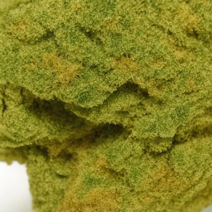 Orange Bud 🍊